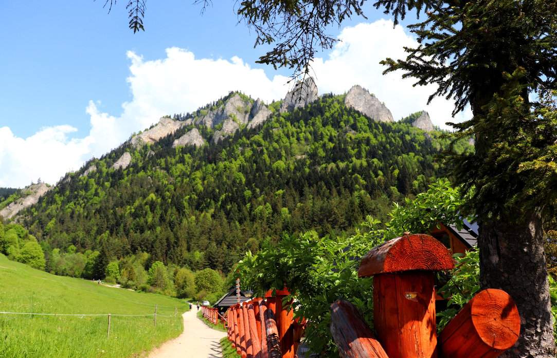 Letni widok na Trzy Korony z okolic schroniska