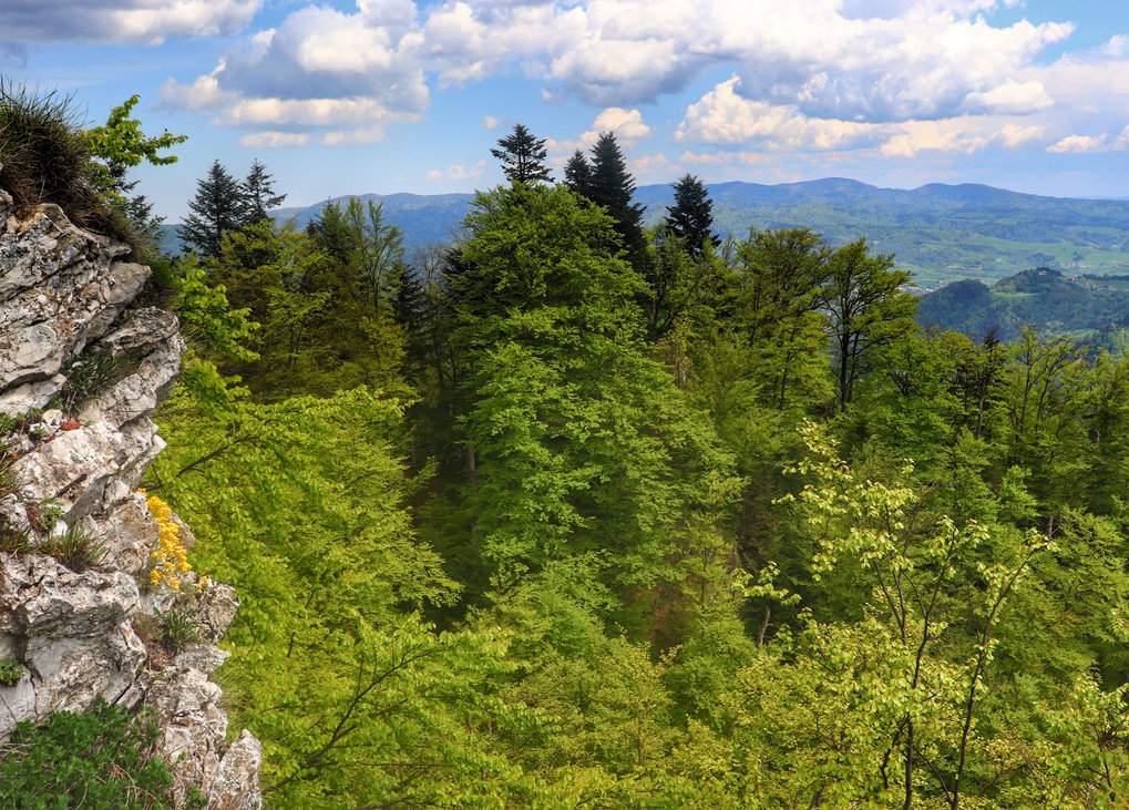 Panorama z Trzech Koron w Pieninach - majestatyczny górski pejzaż z malowniczymi formacjami skalnymi