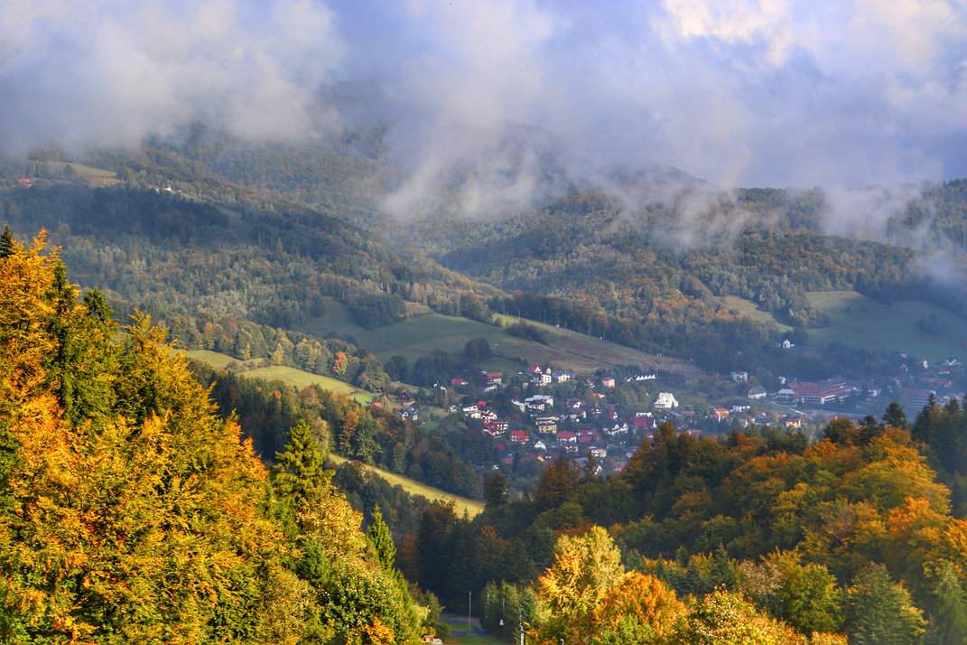 Jesienny widok z niebieskiego szlaku prowadzącego na Soszów Wielki - złote liście i spokojne beskidzkie krajobrazy