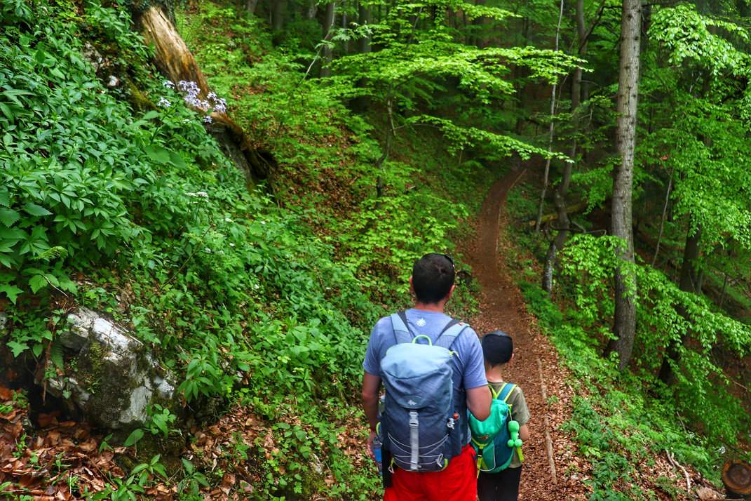 Mężczyzna z dzieckiem wędrujący wąską leśną ścieżką na zielonym szlaku prowadzącym na Trzy Korony
