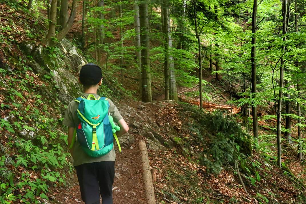 Dziecko, pieniński las