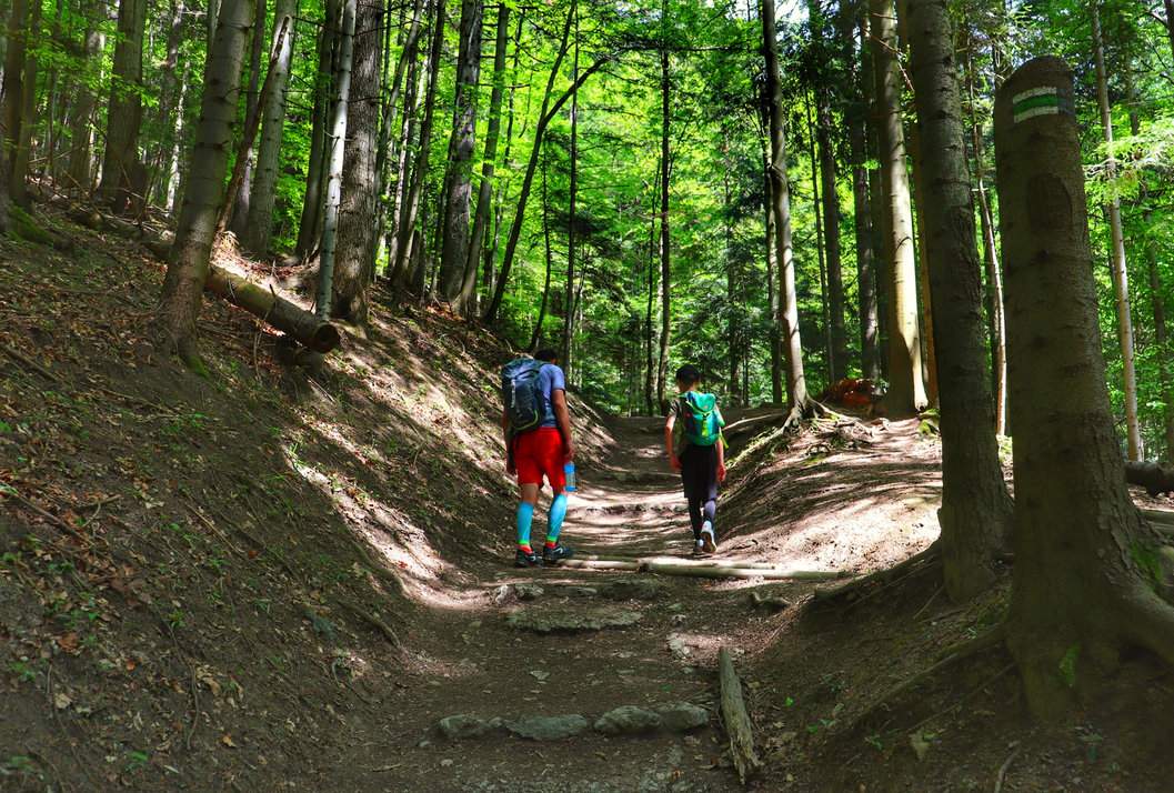 Dziecko z tatą na stromym, leśnym podejściu - zielony szlak na Trzy Korony