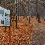 Szeroka droga na zielonym szlaku turystycznym prowadzącym na Pańską Górę w Andrychowie - jesień, tablica edukacyjna