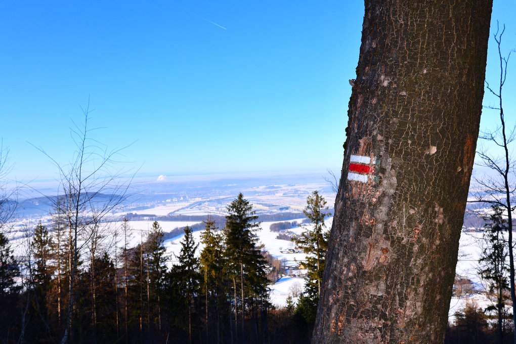 Punkt widokowy w drodze do Chaty Prašivá, oznaczenie czerwonego szlaku na drzewie, mroźne popołudnie w Beskidzie Morawsko-Śląskim