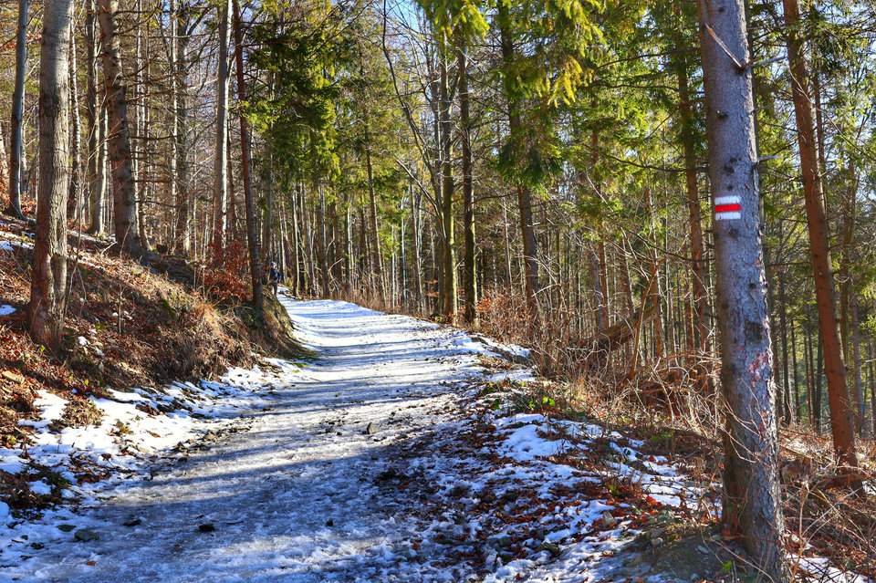 Leśna droga - czerwony szlak - Chata Prašivá - Czechy