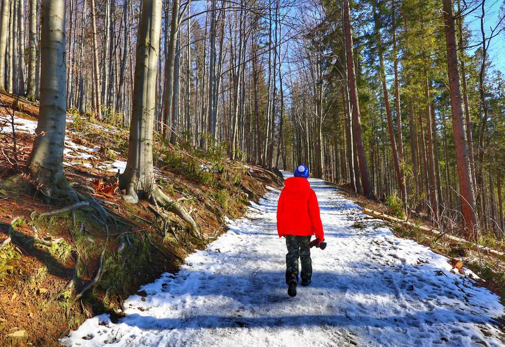 Dziecko w drodze do Chaty Prašivá w Beskidzie Morawsko-Śląskim - leśna droga prowadząca pod górę, czerwony szlak