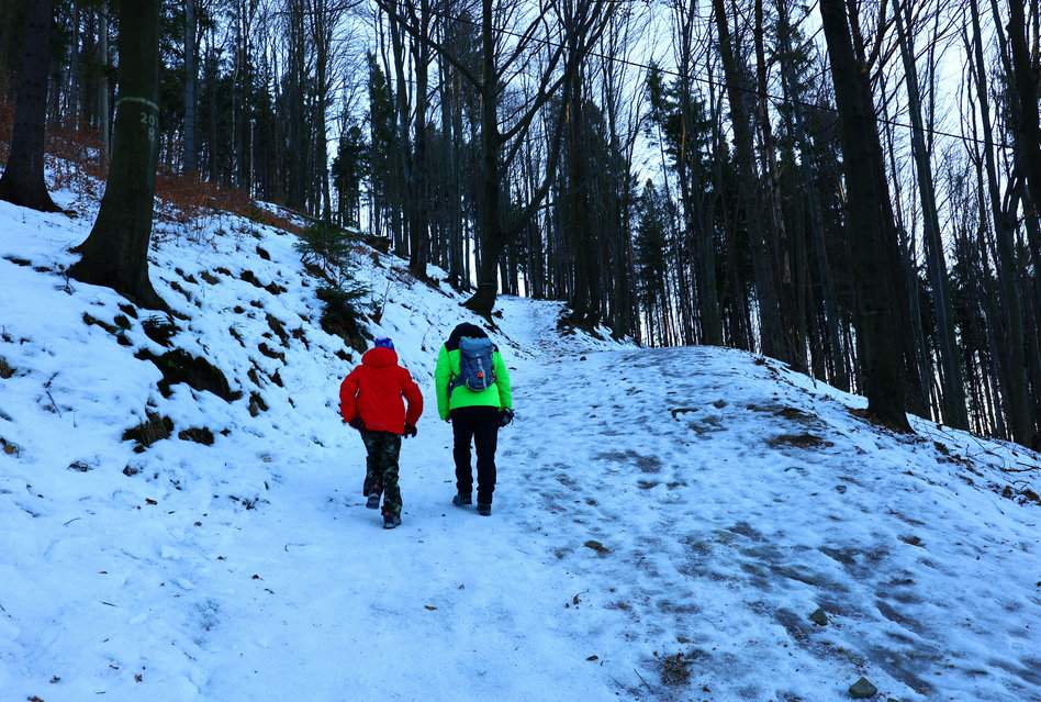 Turysta z dzieckiem idący pod górę zaśnieżoną leśną drogą - czerwony szlak prowadzący do Chaty Prašivá w Czechach