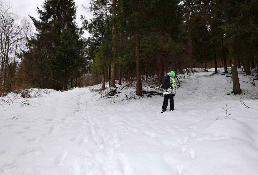 Dziecko, zimowy las - Słowacja