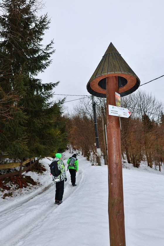 Turysta z dzieckiem na szerokiej, pokrytej śniegiem drodze leśnej w drodze na Gładki Wierch (Hladký vrch), przy drewnianym słupie z drogowskazem