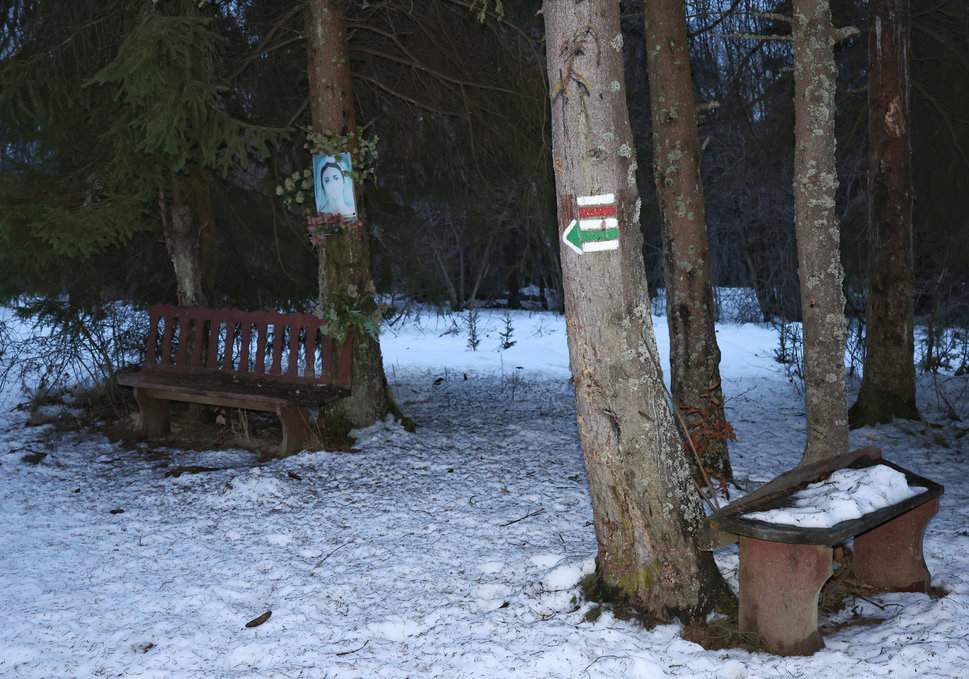 Kapliczka leśna, ławka - Pod Gładkim Wierchem (Pod Hladkým vrchom)
