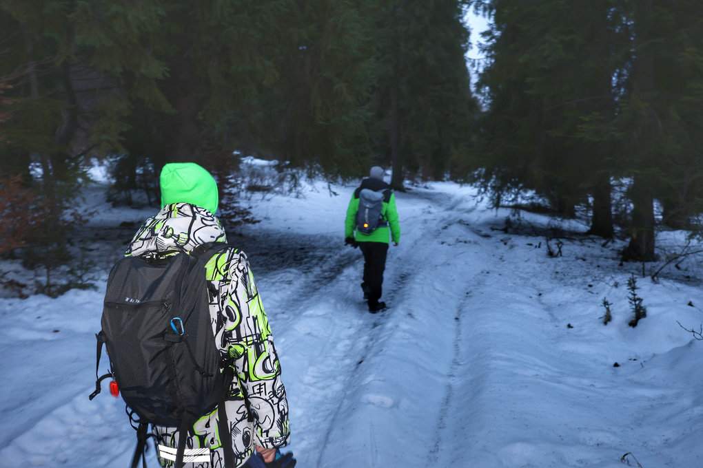 Turyści - dziecko i mężczyzna - w drodze na słowacki Gładki Wierch, zaśnieżona leśna droga, wieczór