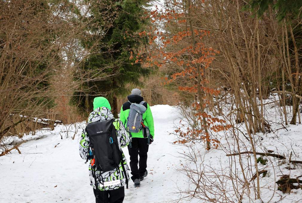 Turyści na szerokiej, leśnej drodze zimą