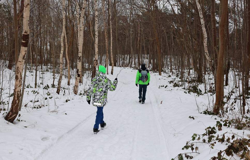 Szeroka, leśna droga niebieskiego szlaku na Górę Libek - turysta z dzieckiem w Kuźnicy