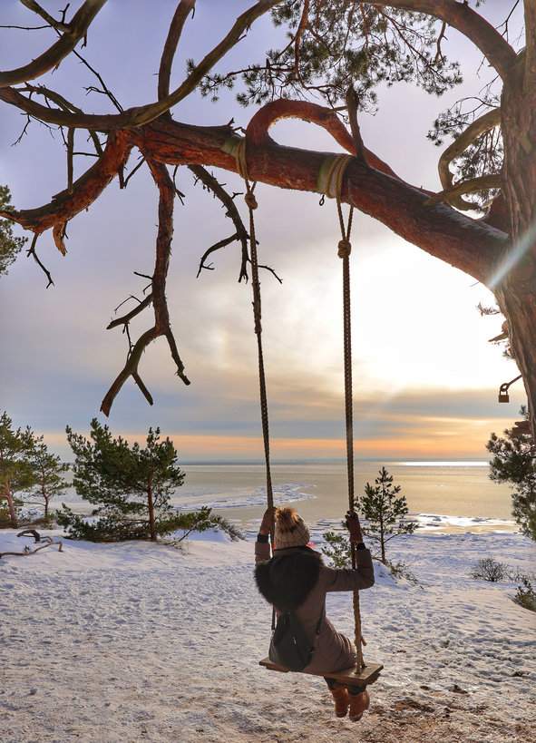 Turystka siedząca na huśtawce wiszącej na drzewie w Helu, obserwująca zachodzące słońce nad Morzem Bałtyckim