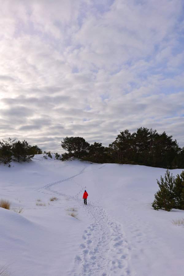 Wąska ścieżka w śniegu i dziecko na trasie ścieżki edukacyjnej „Helskie Wydmy”