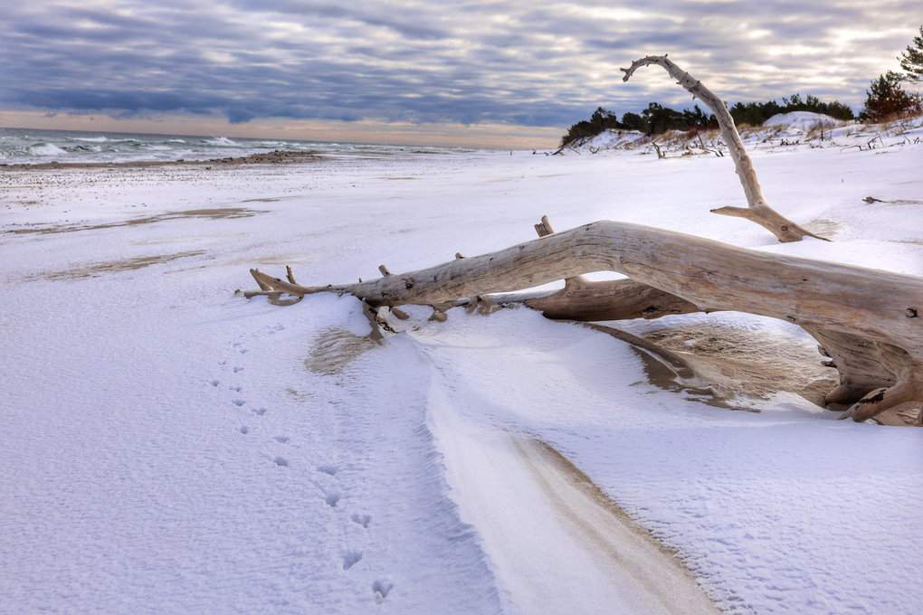Zima na Helu, plaża