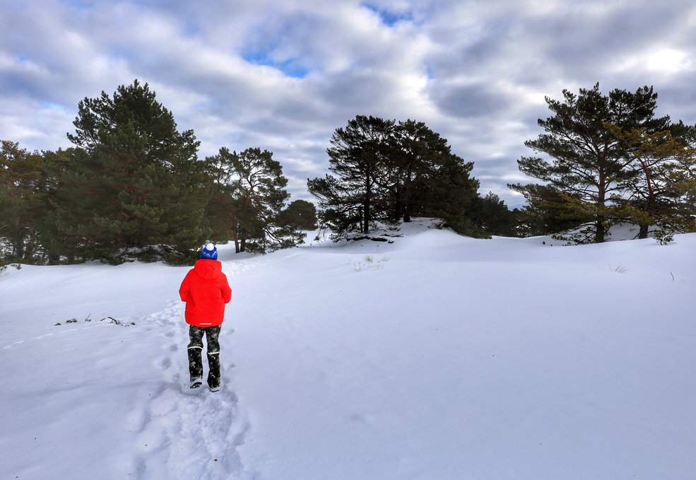 Rezerwat przyrody Helskie Wydmy, dziecko spacerujące ścieżką edukacyjną