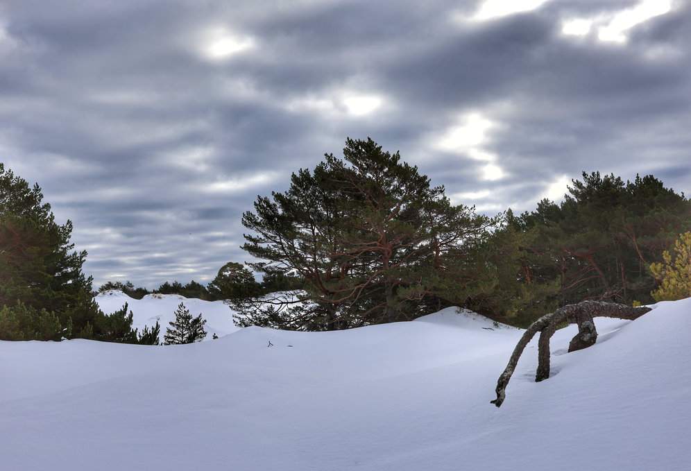 Rezerwat przyrody Helskie Wydmy, zima