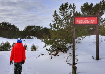 Rezerwat przyrody Helskie Wydmy – Hel