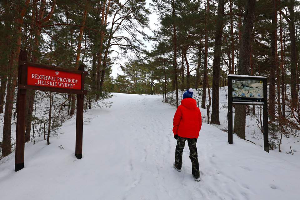 Dziecko wchodzące na teren Rezerwatu przyrody Helskie Wydmy, las
