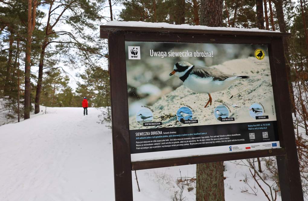 Tablica „Uwaga, sieweczka obrożna!” przy wejściu do Rezerwatu Przyrody Helskie Wydmy