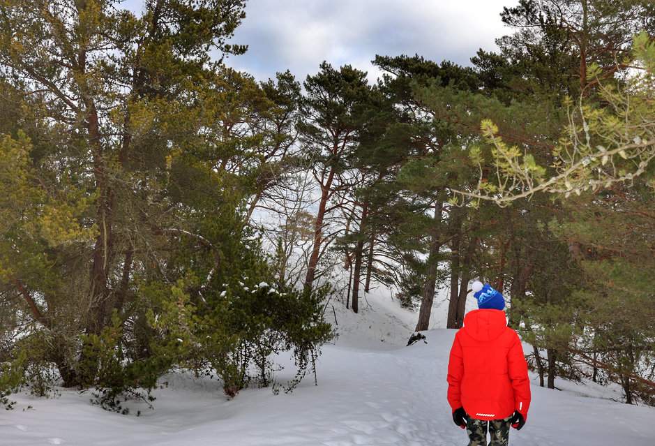 Dziecko na zaśnieżonej ścieżce edukacyjnej „Helskie Wydmy” w Helu