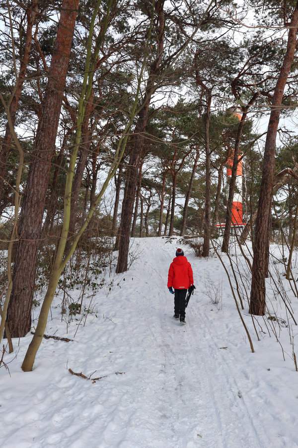 Dziecko w drodze przez lasek na wydmie do Latarni Morskiej w Jastarni