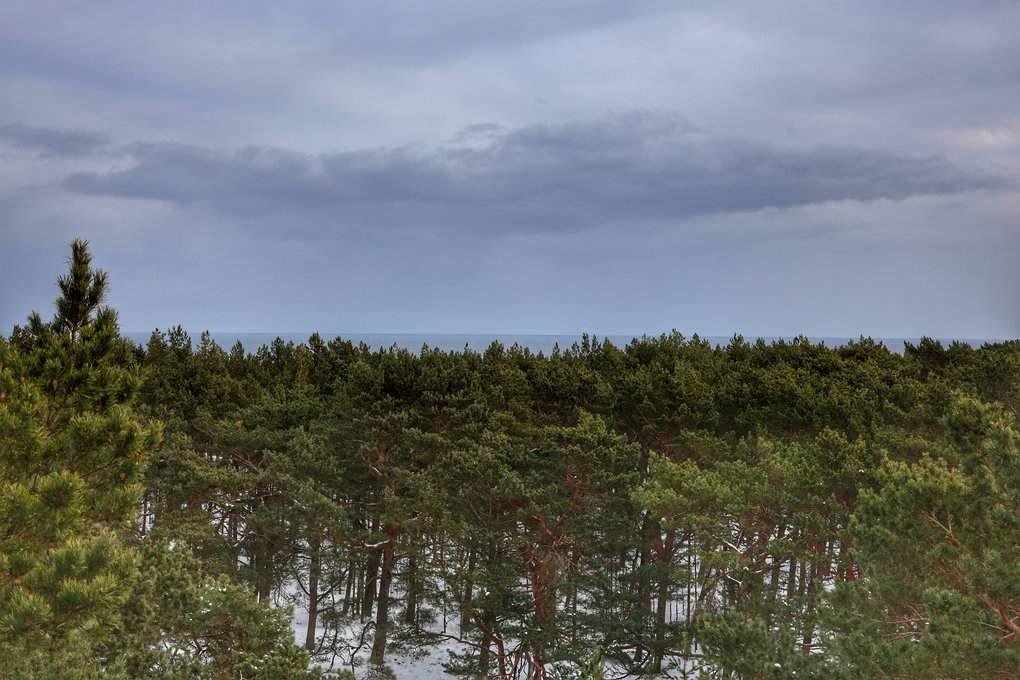 Wieża widokowa w Juracie na Półwyspie Helskim - widok na Morze Bałtyckie