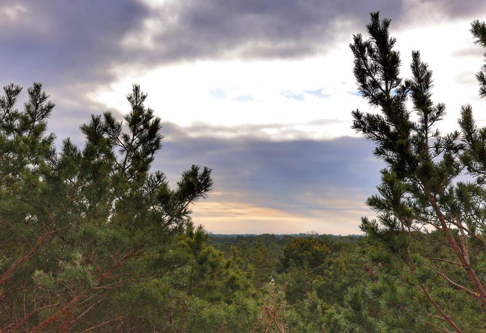 Widok z wieży widokowej w Juracie, zalesione okolice i malownicze niebo