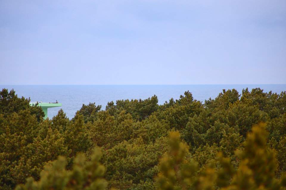 Wieża widokowa w Juracie na Półwyspie Helskim - panorama okolicznych lasów i Morza Bałtyckiego