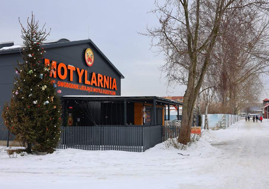 Budynek Motylarni w Helu