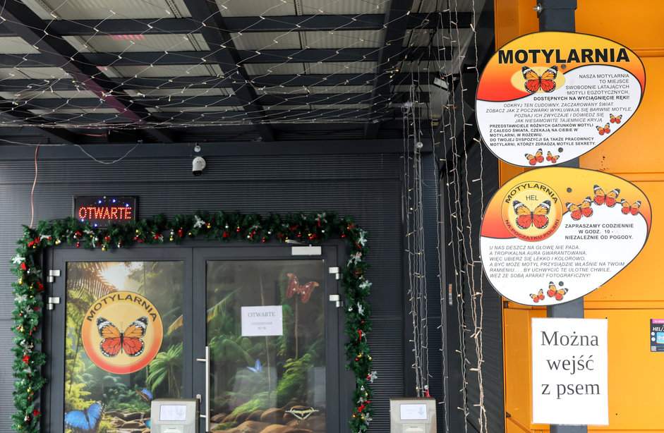 Motylarnia w Helu