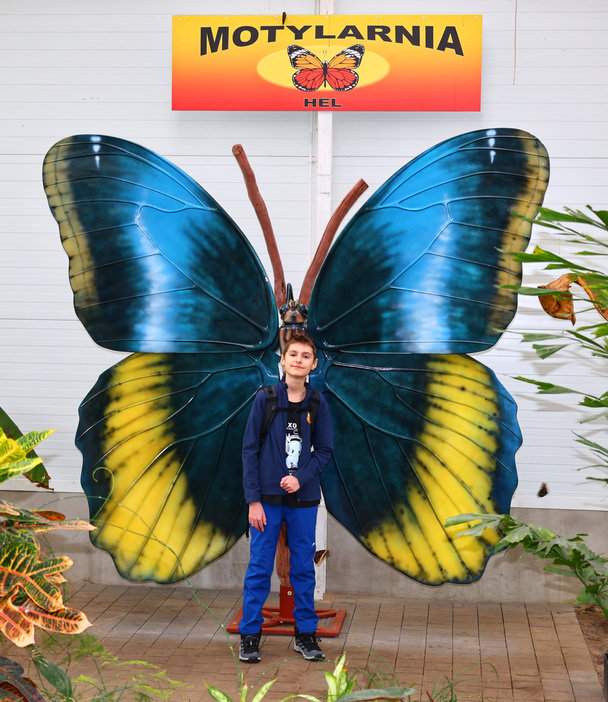 Uśmiechnięte dziecko w Motylarni Hel 
