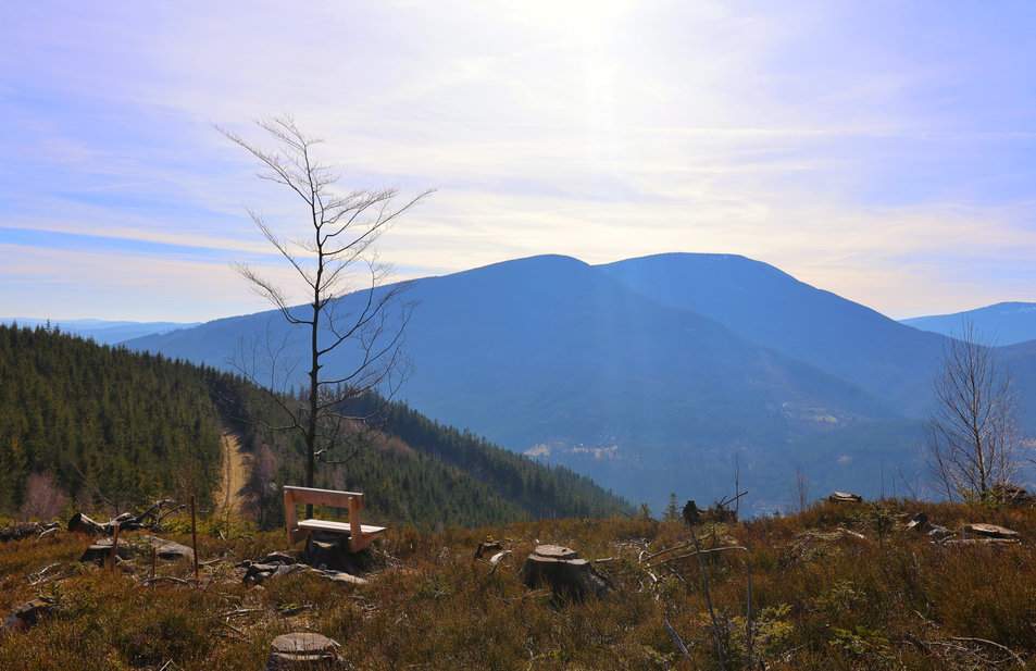 Punkt widokowy Smrčina w Beskidzie Morawsko-Śląskim, Czechy - słoneczny dzień, polana, drewniana ławka