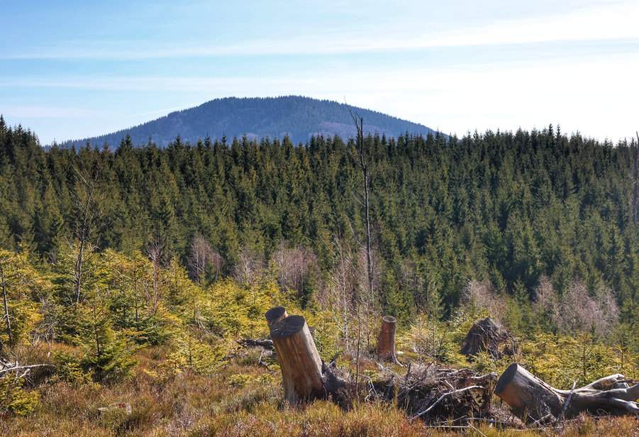 Punkt widokowy Smrčina w Beskidzie Morawsko-Śląskim