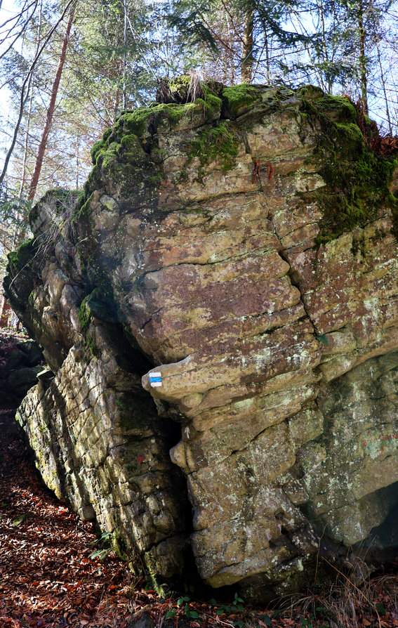 Ostravice - Dolní Mazák - formacje skalne przy niebieskim szlaku