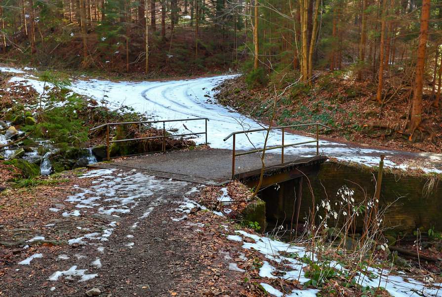 Las, szeroka droga, mostek nad górskim potokiem o nazwie Suchý Potok, szlak niebieski - Ostravice, Mazák