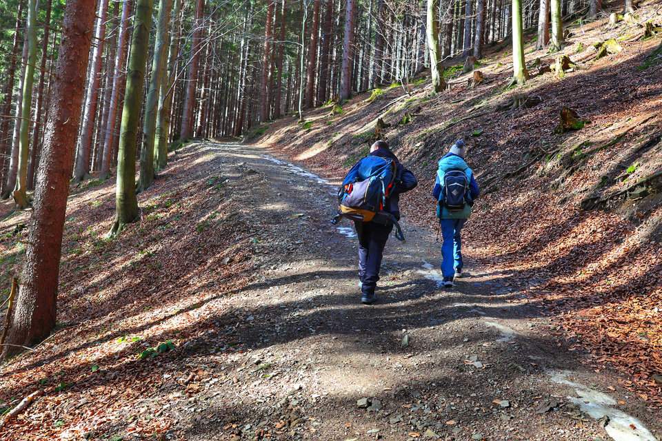 Turyści - mężczyzna z dzieckiem na stromym podejściu przez las na niebieskim szlaku w Ostravice