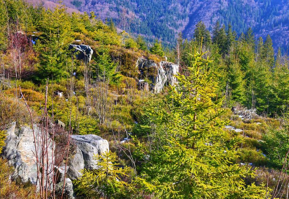 Formacje skalne Liščí díry w Beskidzie Morawsko-Śląskim