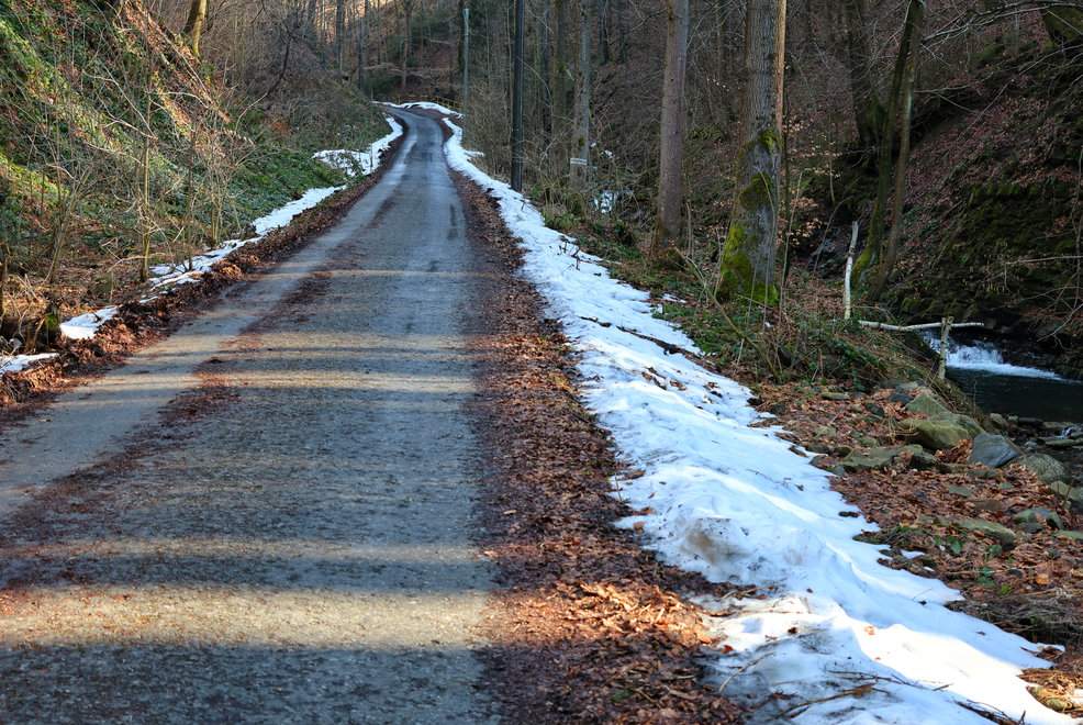 Szeroka droga leśna