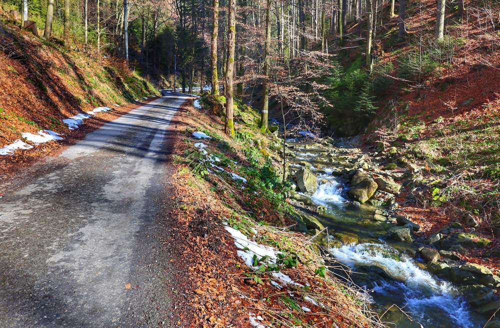 Asfaltowa droga pnąca się w górę przez las, wiodąca wzdłuż potoku Mazák - szlak niebieski, Ostravice, Mazák