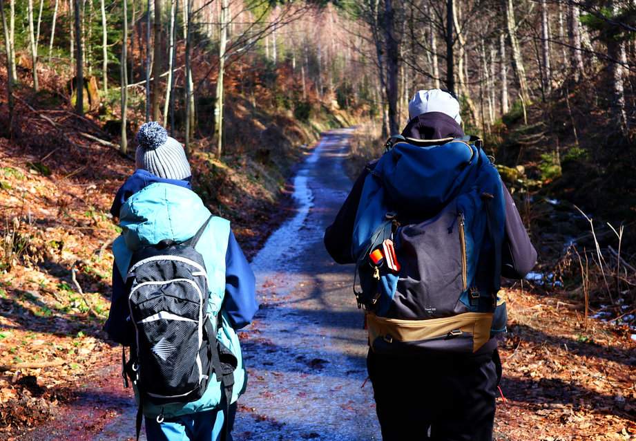 Leśna droga, turyści