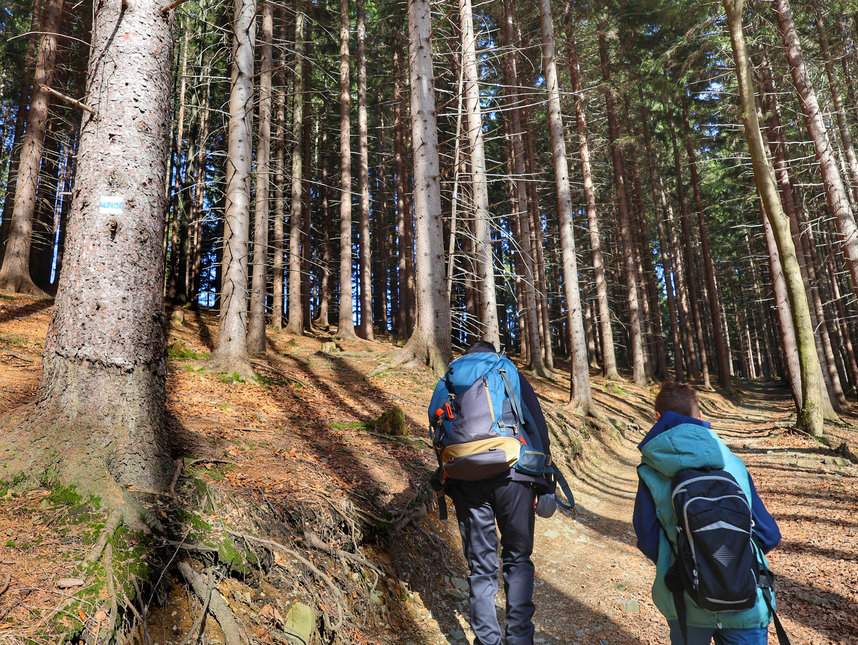 Bardzo strome podejście przez las na niebieskim szlaku - Ostravice, Mazák; turysta z dzieckiem wspinający się pod górę