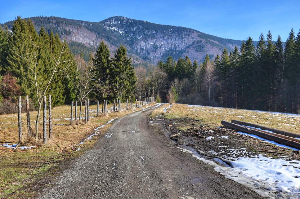 Szeroka droga z widokiem na Królową czeskich Beskidów - Łysą Górę (Łysa Hora) - na tle pięknego, niebieskiego nieba