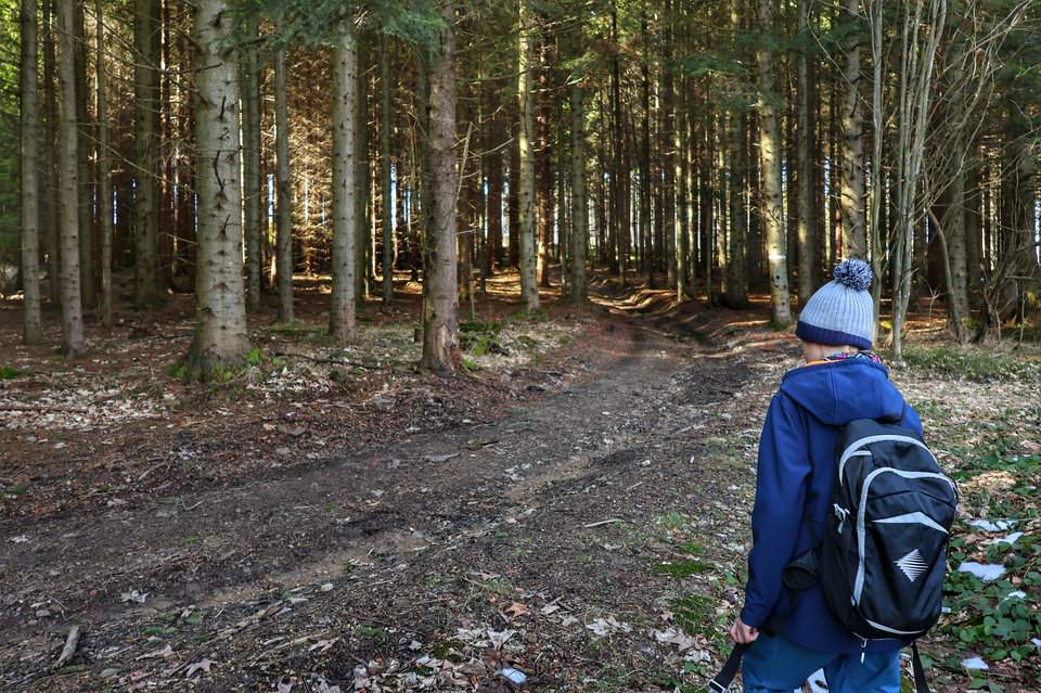 Mały turysta, las, Beskid Morawsko-Śląski