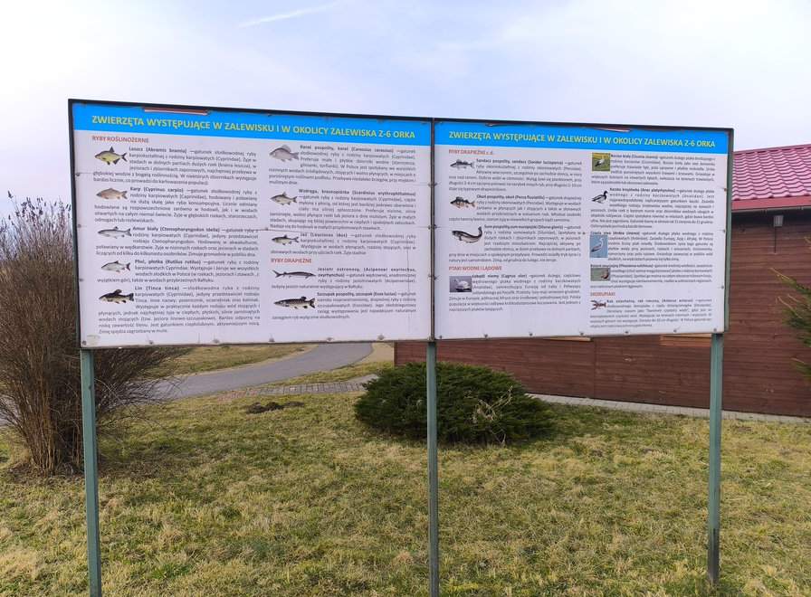 Tablice informacyjne opisujące ptaki wodne i lądowe, ryby roślinożerne i drapieżne oraz skorupiaki występujące w okolicy i w zalewisku „Źródlana Oaza” w Marklowicach