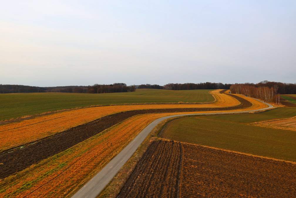 Widok z wieży widokowej w Marklowicach na Górnym Śląsku - droga prowadząca między polami