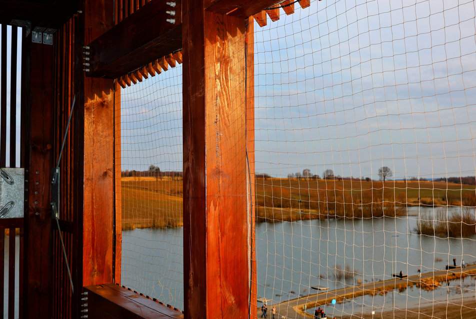 Widok na zalewisko „Źródlana Oaza” z drewnianej wieży widokowej w Marklowicach