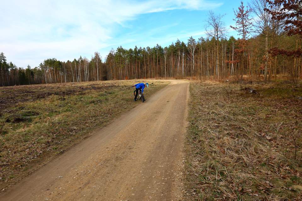 Dziecko na trasie rowerowej z Chełmku do Jaworzna, szeroka, utwardzona droga leśna