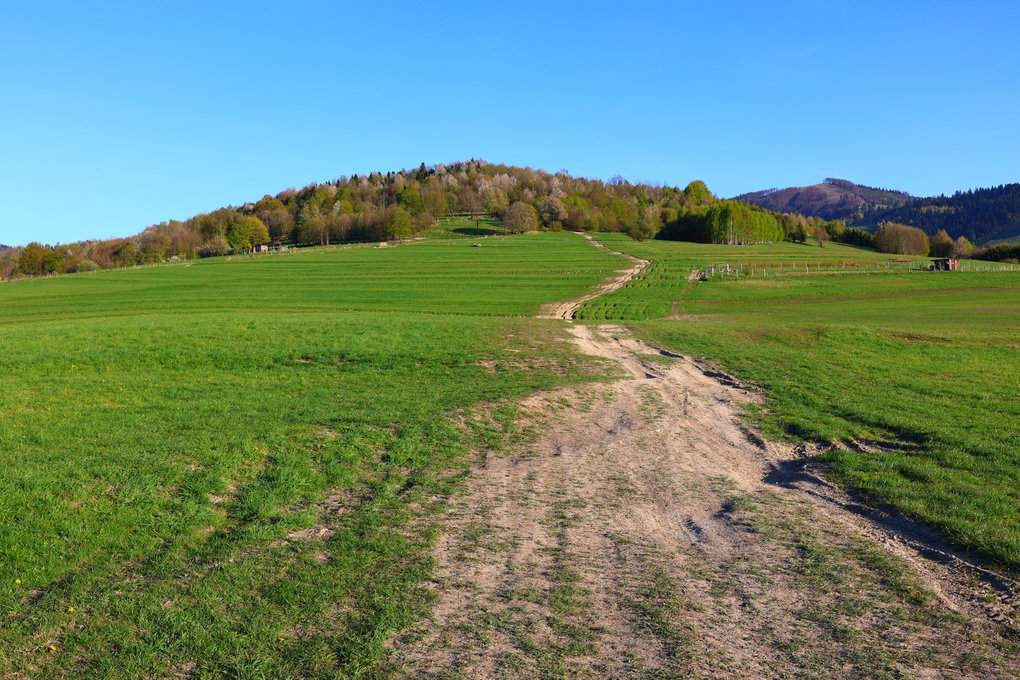 Polana w Węgierskiej Górce, Bukowina